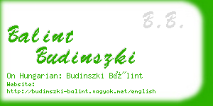 balint budinszki business card